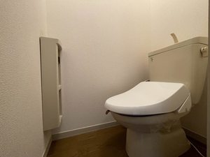 スタ－・ヒルズ 107号-4