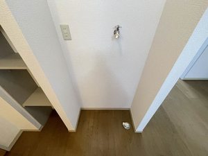 スタ－・ヒルズ 107号-7