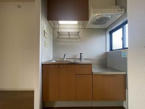 サンバースト 203号-4