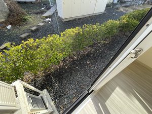 エクセレント吉小路 106号-13