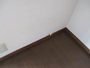 エステートハイム　Ｂ 102号-8