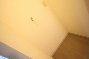 ドリーム・ディアス 101号-3