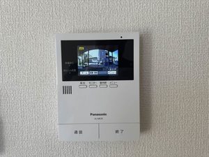 ドリーム・ディアス 101号-12