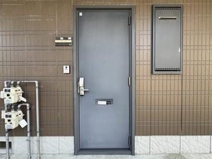 ドリーム・ディアス 101号-13