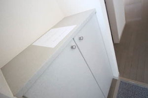 ドリーム・ディアス 202号-2