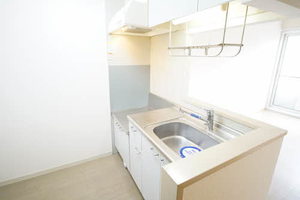 ドリーム・ディアス 202号-12