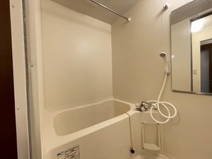 リオ・セレッソⅡ 110号-6