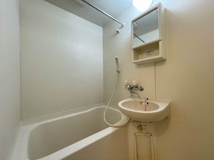 ディアス・ファイン 102号-6