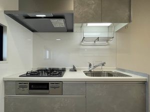 ハイツ神明 203号-4