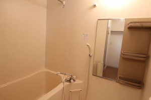 パレス・アザレアＤ 202号-3