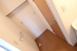 パレス・アザレアＤ 202号-5