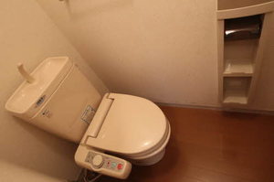 パレス・アザレアＤ 202号-6