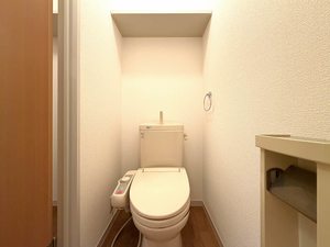 フェリ－スＫ　Ⅱ 201号-5