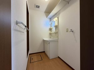 リオ・セレッソ D 102号-7