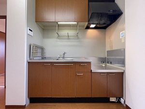 リオ・セレッソ　Ｆ 101号-4