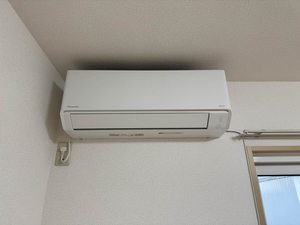 ドリーム・ライク 201号-11