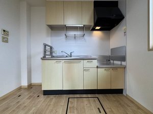 ライラック－Ｓ 102号-4