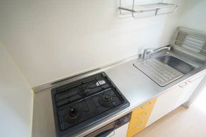 オータム・リーフ　Ａ 201号-9