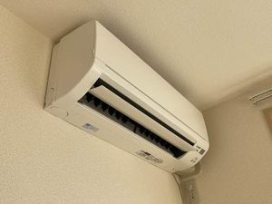 リリー・シャーメゾン A 101号-11