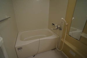 シャーメゾン・ペオニー A 103号-10