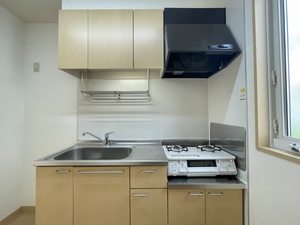 クリスタル・パレス 101号-4