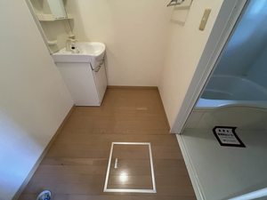 ベアピッチ 102号-11