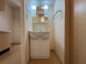 ホワイトナイト 103号-8