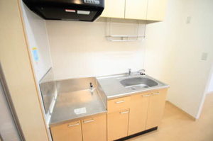 ホワイトナイト 201号-10