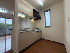 リオ・セレッソ　Ⅳ 101号-4