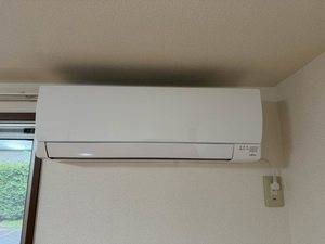 リオ・セレッソ　Ⅳ 101号-14