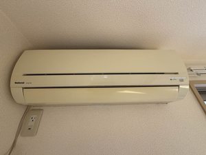 ラフィーネ常盤台 201号-13