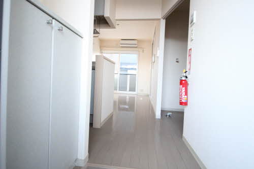 ドリーム・ディアス 101号-2