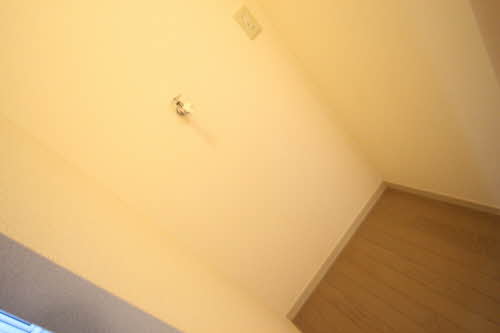 ドリーム・ディアス 101号-3