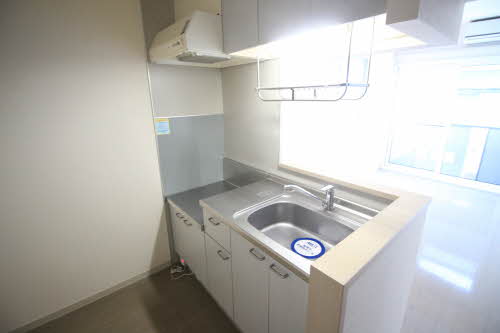 ドリーム・ディアス 101号-6