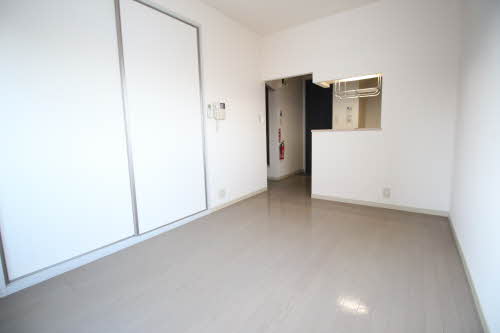 ドリーム・ディアス 101号-7