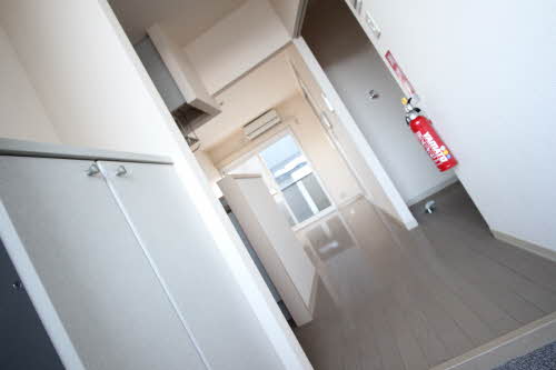 ドリーム・ディアス 202号-3