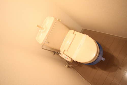 ドリーム・ディアス 202号-8