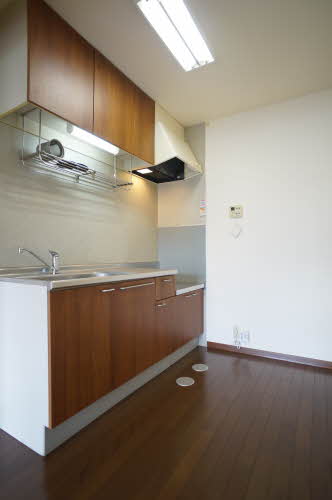 カステ-ロ才天 101号-8