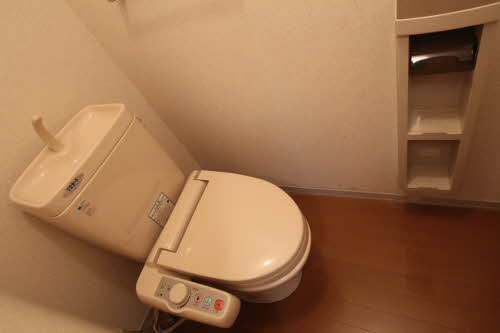 パレス・アザレアＤ 202号-6