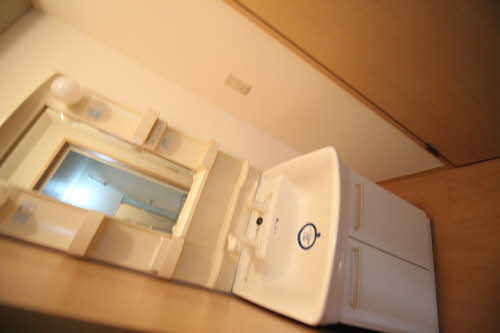 メゾン・シャルマン桜台 102号-3