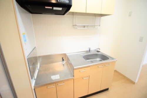 ホワイトナイト 201号-10