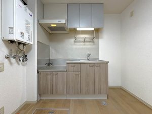 ロイヤルパレス城東　Ａ 102号-4