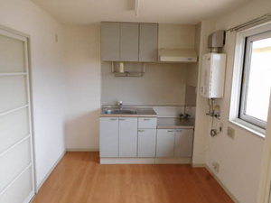 ロイヤルパレス城東 A 203号-6