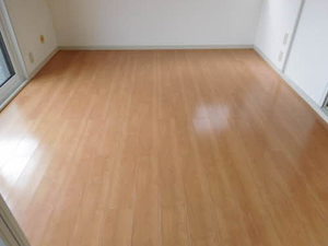 ロイヤルパレス城東 A 203号-11