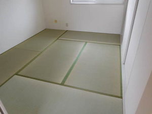 ロイヤルパレス城東 A 203号-15