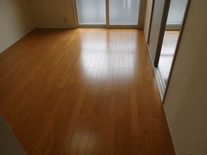 ウィスタリア東通 201号-10