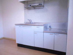 ブルーレトワール 202号-5