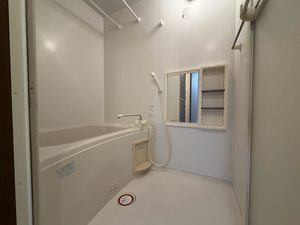 ボナールＣ 101号-6