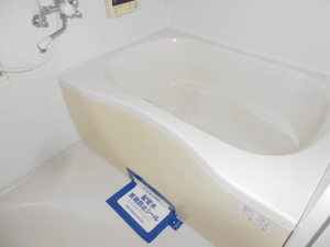 エヴァーグリーンC 201号-10