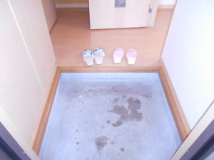 グランソレイユＣ 101号-3